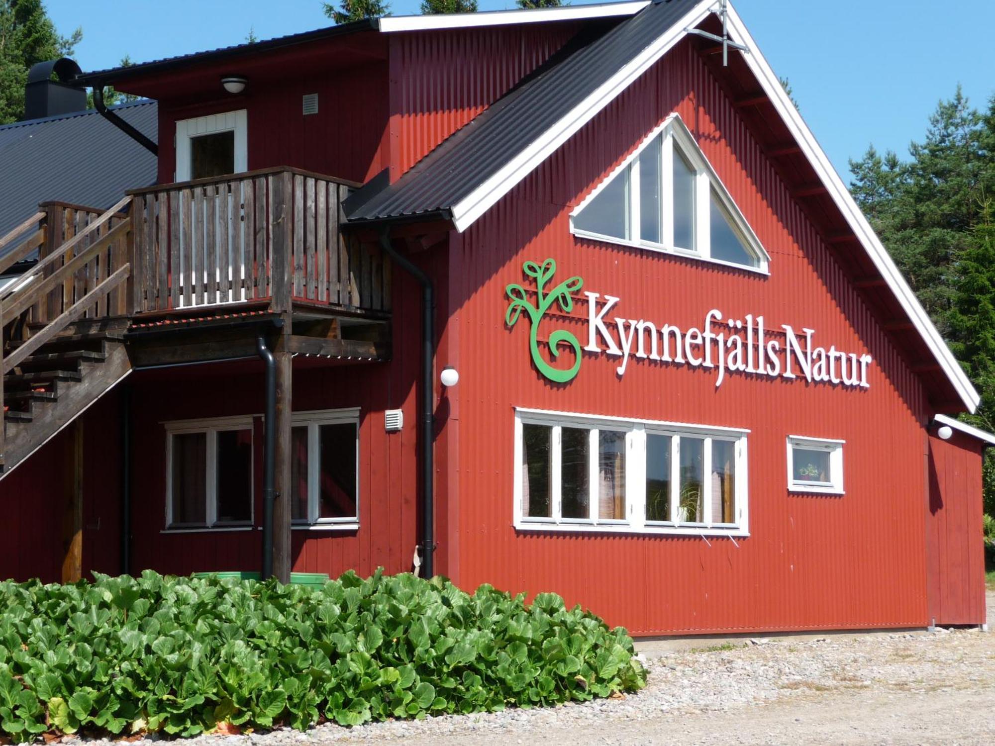 Kynnefjaellsnatur Hedekas Exterior foto