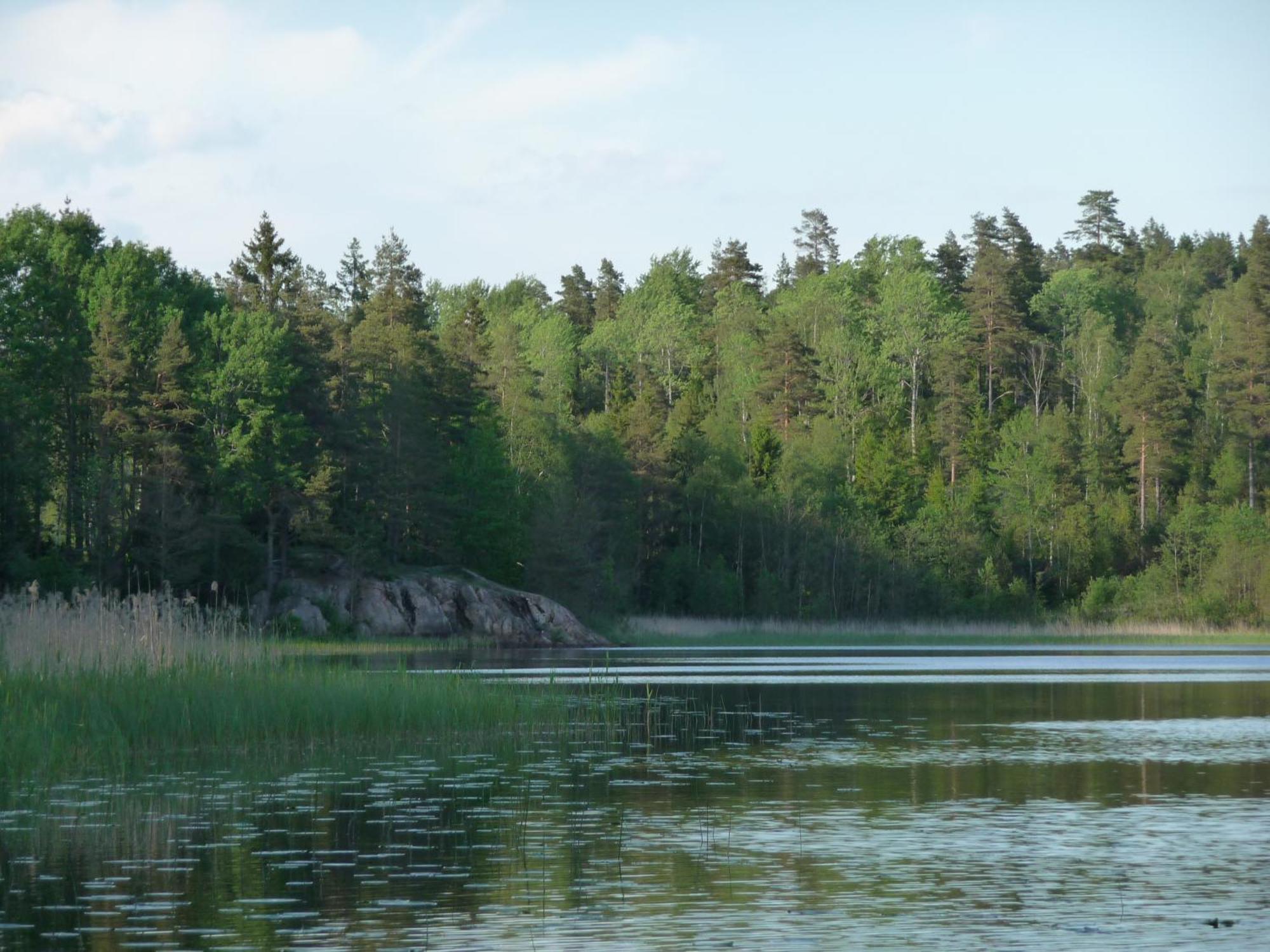 Kynnefjaellsnatur Hedekas Exterior foto