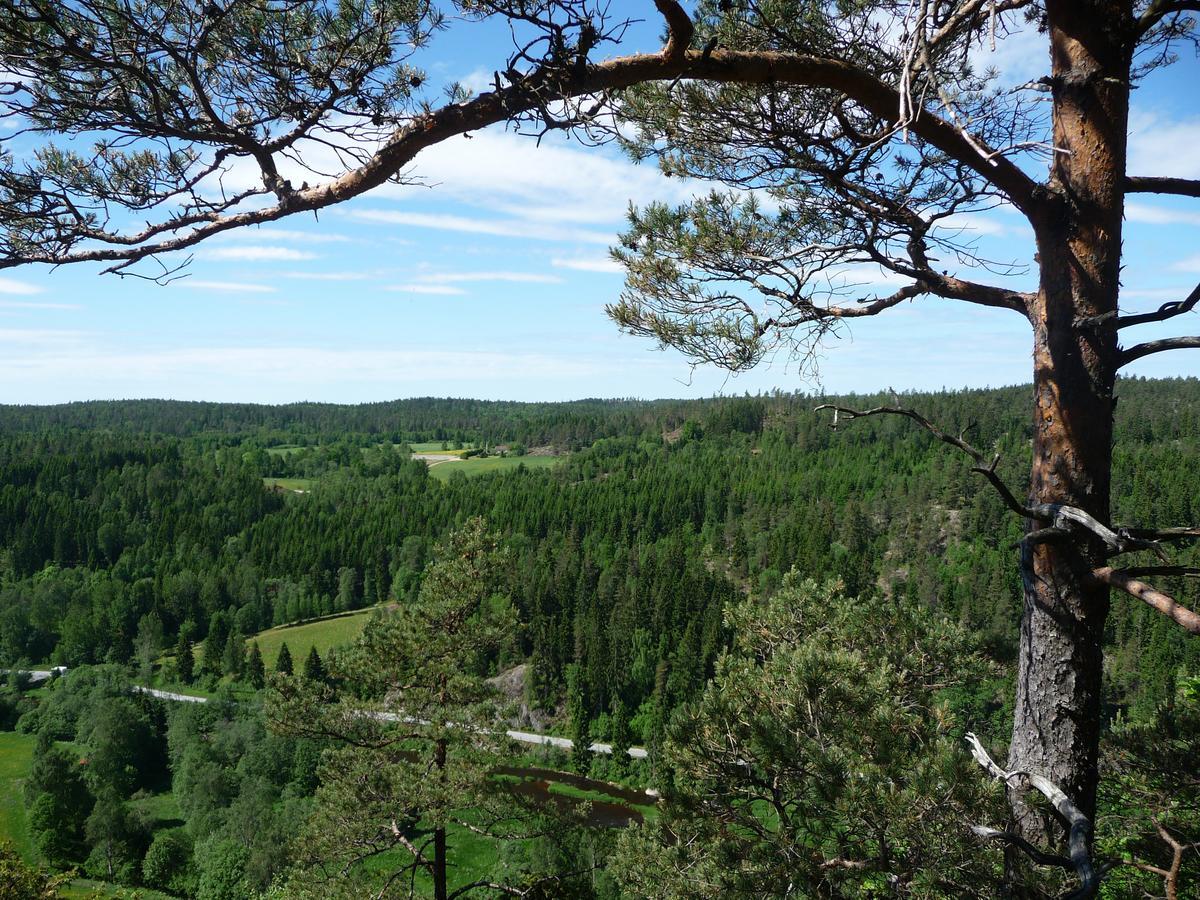 Kynnefjaellsnatur Hedekas Exterior foto